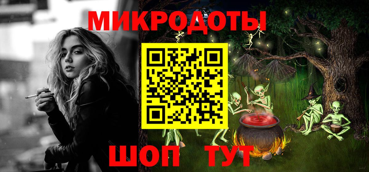 Псилоцибиновые грибы Psilocybe Кандалакша