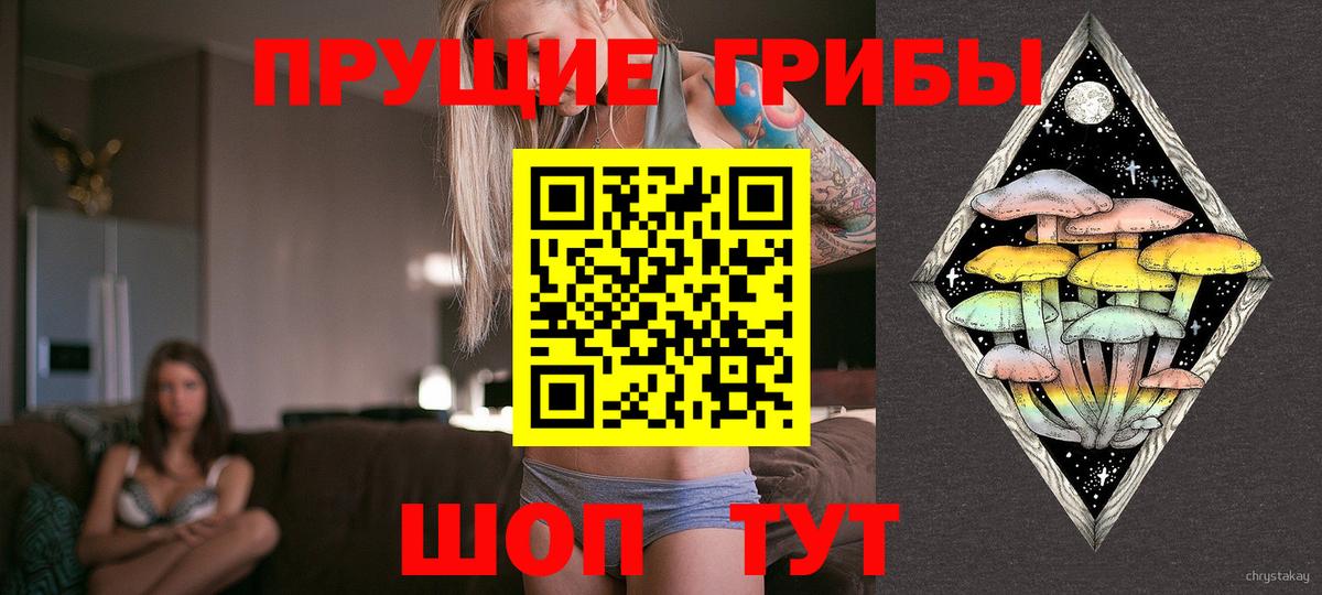 Псилоцибиновые грибы мухоморы  Вход с VPN  сколько стоит  Кандалакша  Псилоцибиновые грибы мицелий 